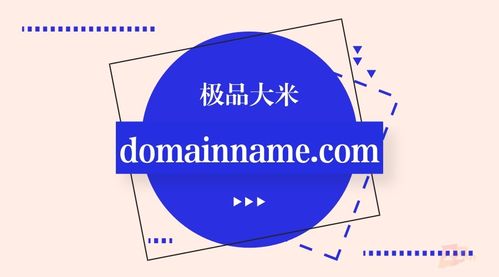 國(guó)人為國(guó)爭(zhēng)光 重金收購(gòu)域名行業(yè)“極品大米”，推動(dòng)計(jì)量技術(shù)服務(wù)數(shù)字化升級(jí)