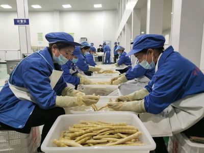 桐梓 龍頭企業帶動方竹筍精深加工，助推食品產業高質量發展